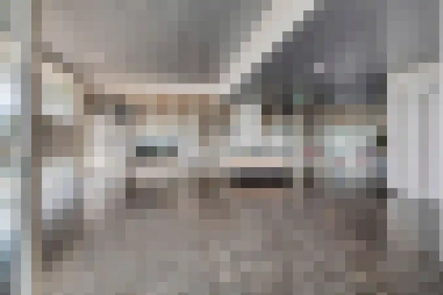 Hongerlandsedijk 406 Spijkenisse thumbnail 40