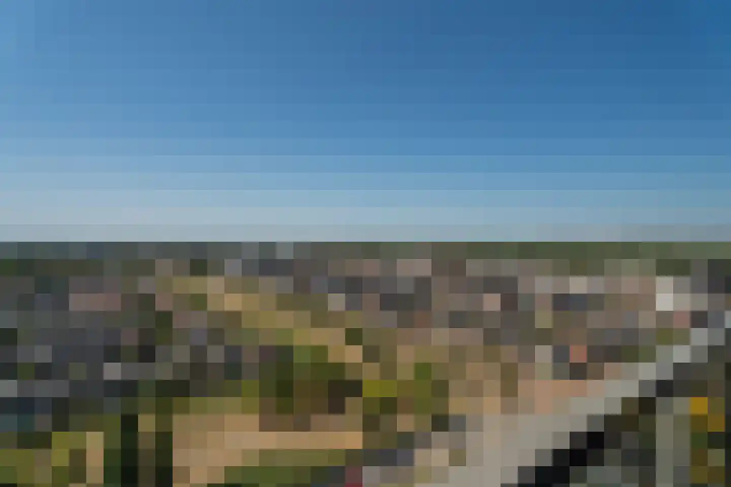Hongerlandsedijk 500 Spijkenisse thumbnail 18
