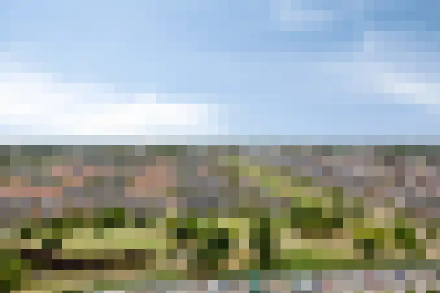 Hongerlandsedijk 516 Spijkenisse thumbnail 19