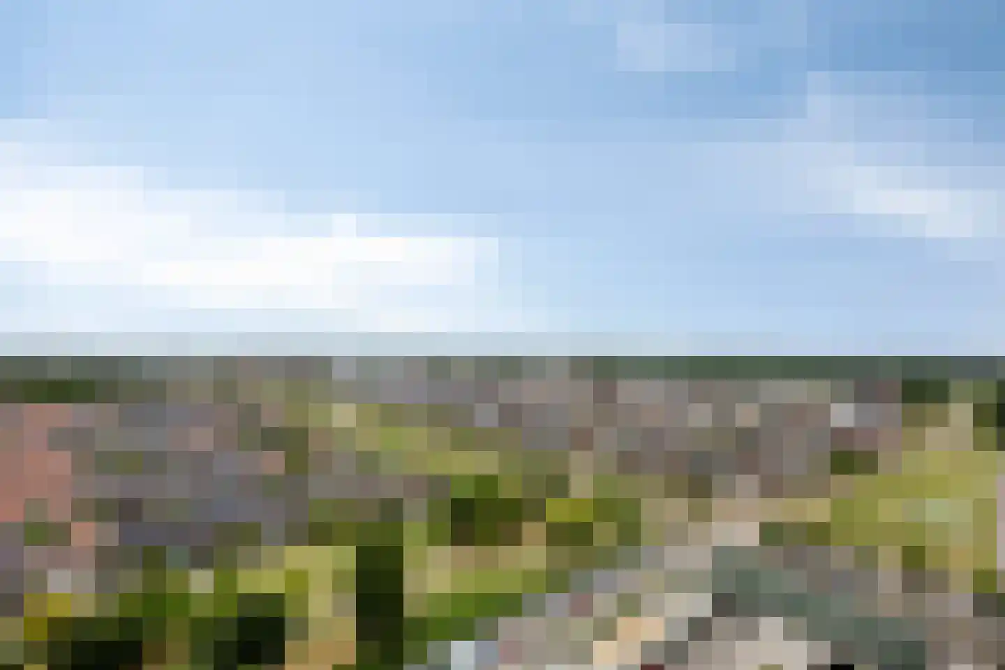 Hongerlandsedijk 516 Spijkenisse thumbnail 22