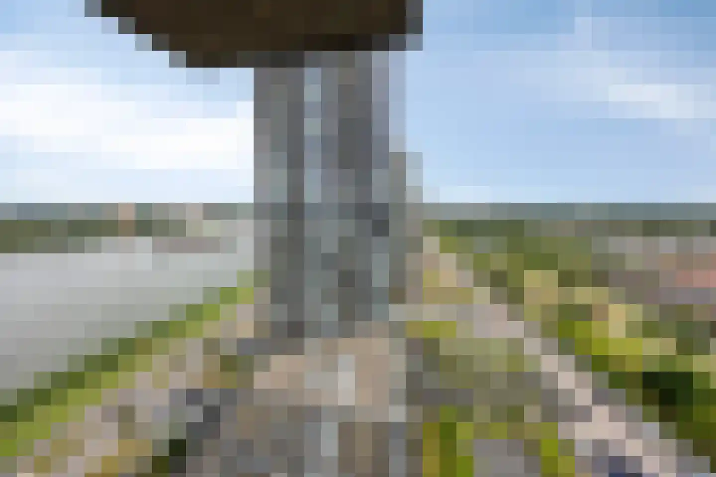 Hongerlandsedijk 516 Spijkenisse thumbnail 4