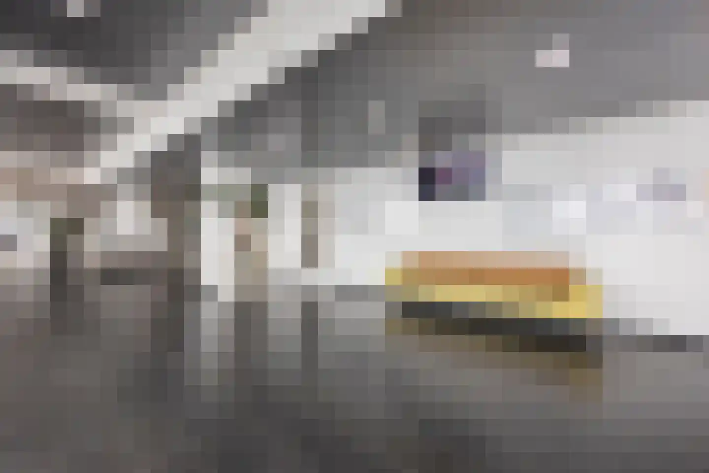 Hongerlandsedijk 516 Spijkenisse thumbnail 7