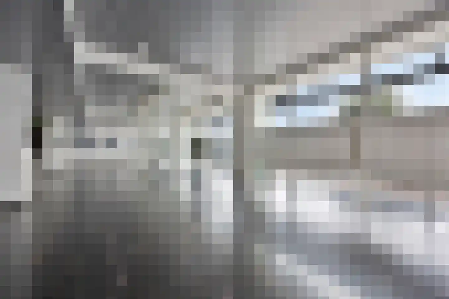 Hongerlandsedijk 516 Spijkenisse thumbnail 8