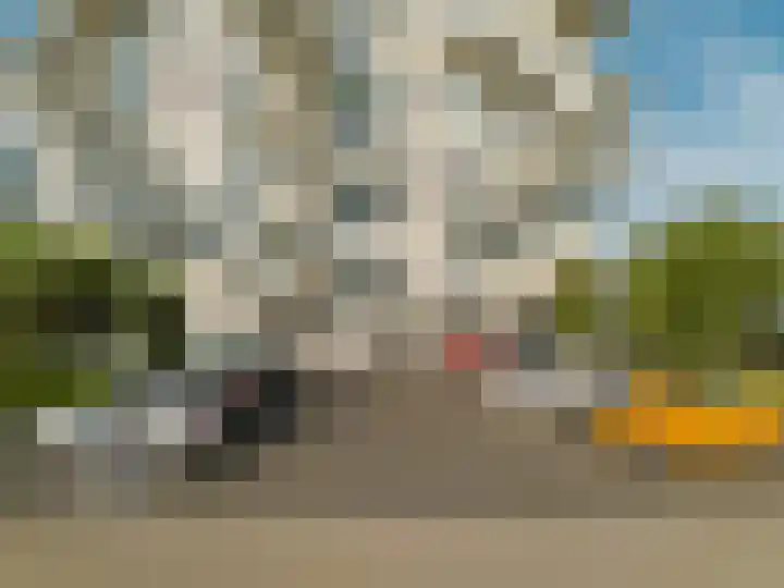 Hongerlandsedijk 62 Spijkenisse thumbnail 10