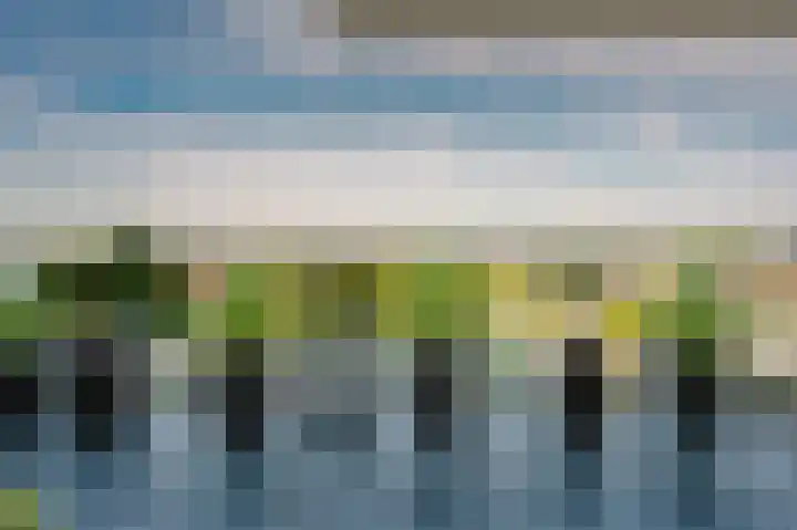 Hongerlandsedijk 62 Spijkenisse thumbnail 25