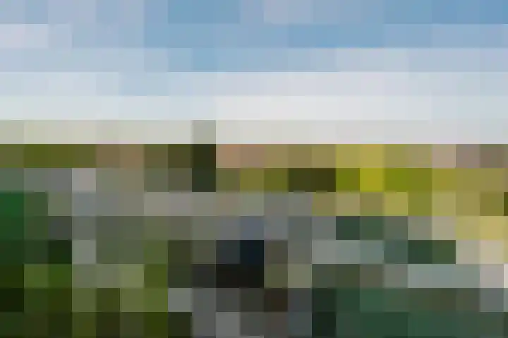 Hongerlandsedijk 62 Spijkenisse thumbnail 27