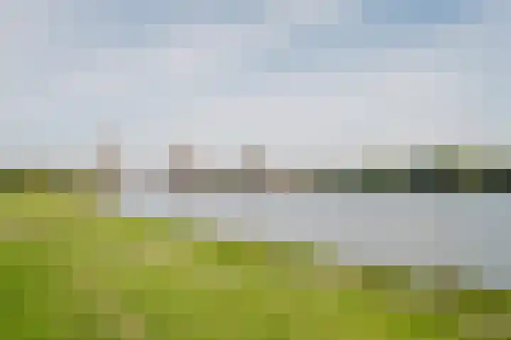 Hongerlandsedijk 62 Spijkenisse thumbnail 39