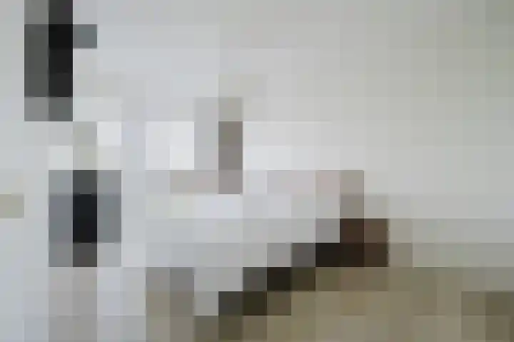 Hongerlandsedijk 62 Spijkenisse thumbnail 4