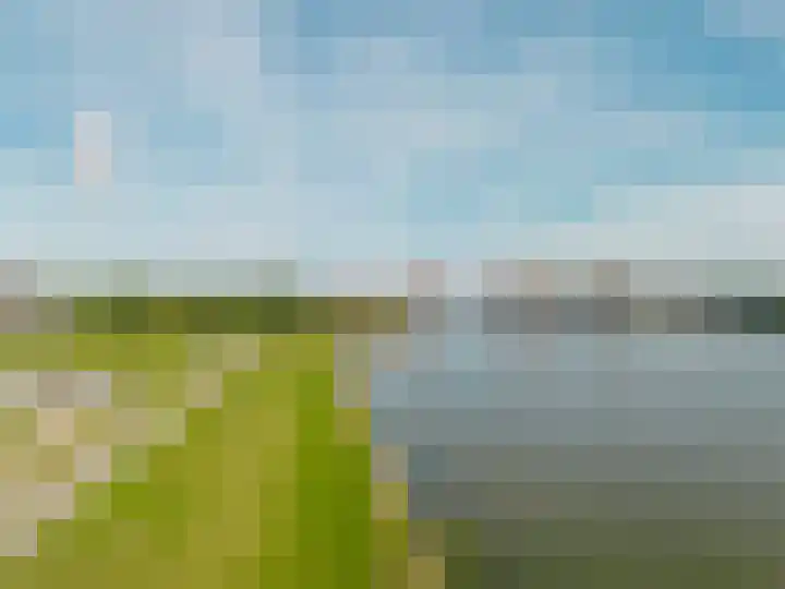 Hongerlandsedijk 62 Spijkenisse thumbnail 40