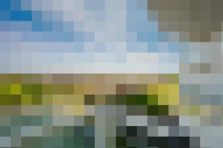 Hongerlandsedijk 62 Spijkenisse thumbnail 6
