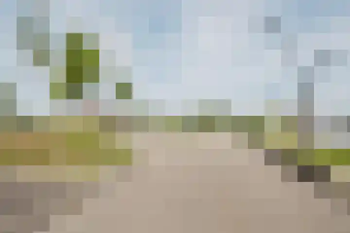 Hongerlandsedijk 62 Spijkenisse thumbnail 8