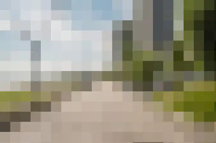 Hongerlandsedijk 62 Spijkenisse thumbnail 9