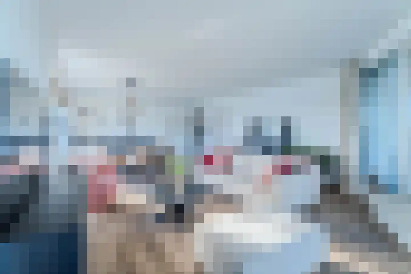 Hongerlandsedijk 678 Spijkenisse thumbnail 6