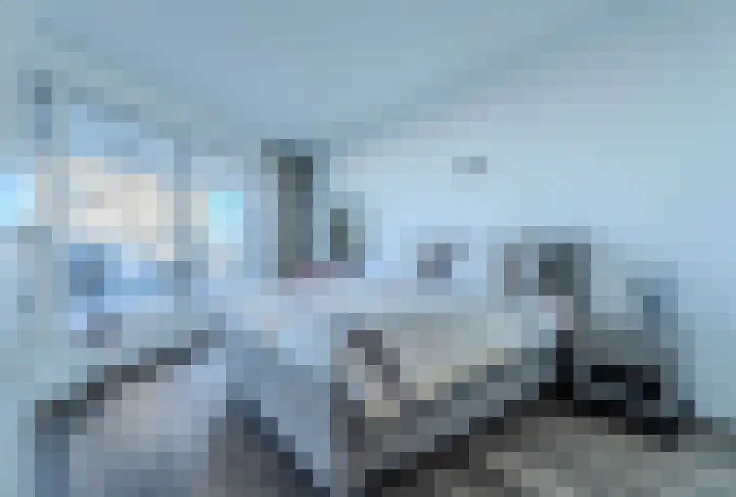 Hongerlandsedijk 678 Spijkenisse thumbnail 8