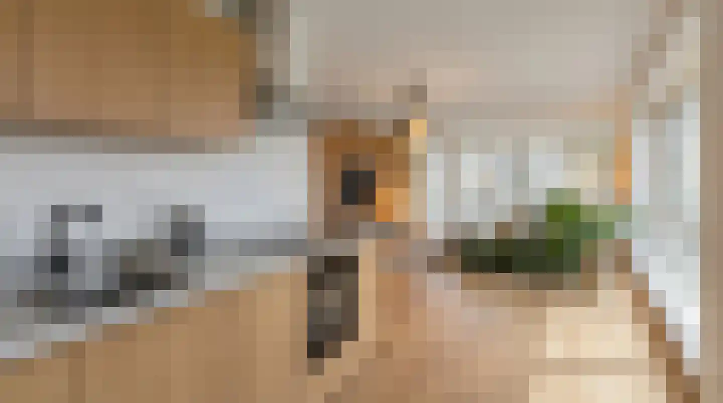 Hongerlandsedijk 698 Spijkenisse thumbnail 4