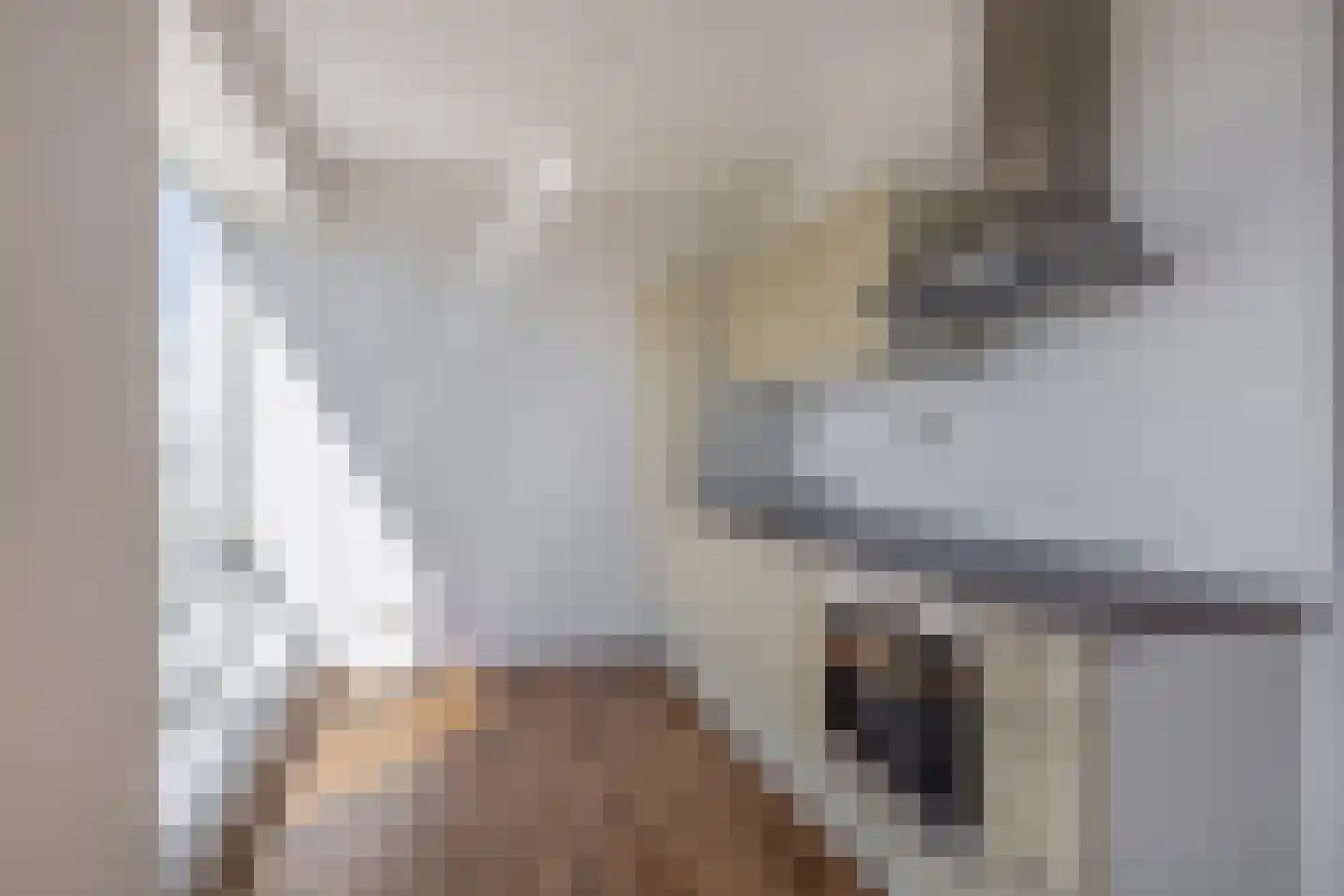 Hongerlandsedijk 698 Spijkenisse thumbnail 7