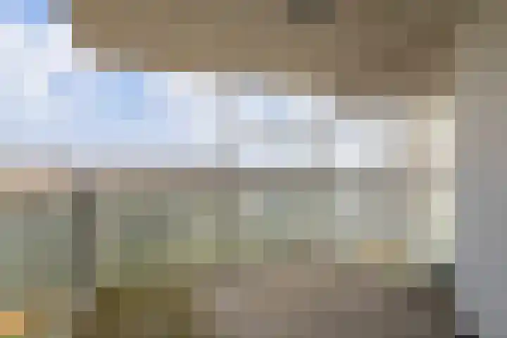 Hongerlandsedijk 716 Spijkenisse thumbnail 10