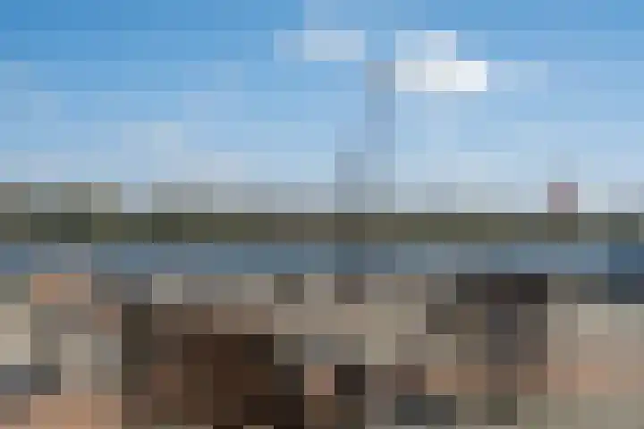 Hongerlandsedijk 716 Spijkenisse thumbnail 29