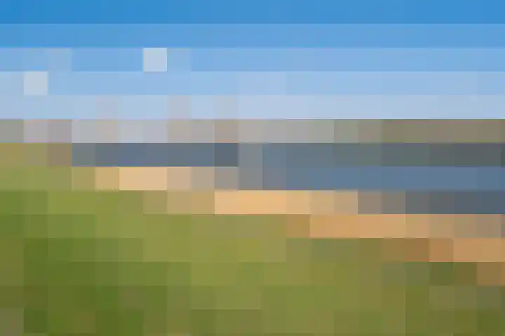 Hongerlandsedijk 716 Spijkenisse thumbnail 31