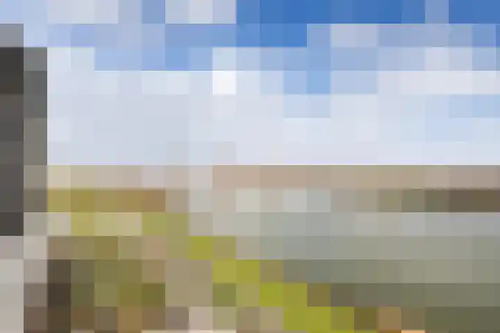 Hongerlandsedijk 716 Spijkenisse thumbnail 32