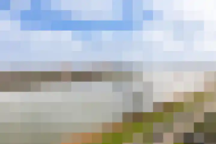 Hongerlandsedijk 716 Spijkenisse thumbnail 33