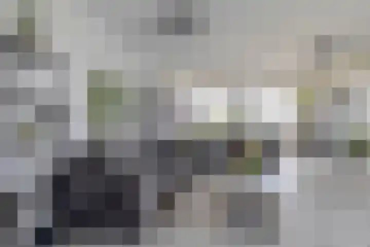 Hongerlandsedijk 726 Spijkenisse thumbnail 21