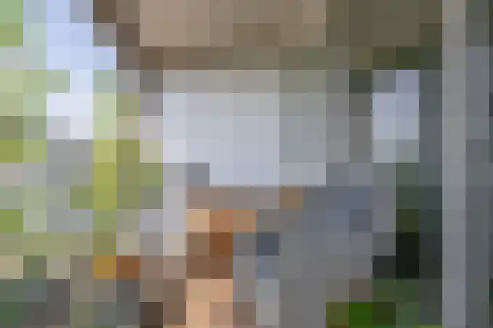 Hongerlandsedijk 726 Spijkenisse thumbnail 33