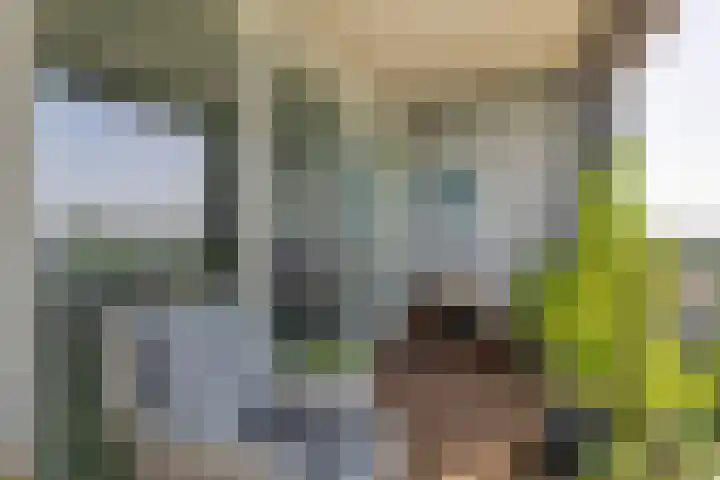 Hongerlandsedijk 726 Spijkenisse thumbnail 34