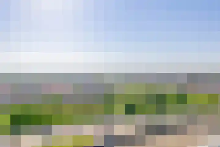 Hongerlandsedijk 726 Spijkenisse thumbnail 35