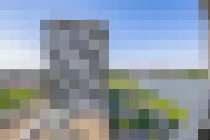 Hongerlandsedijk 726 Spijkenisse thumbnail 36