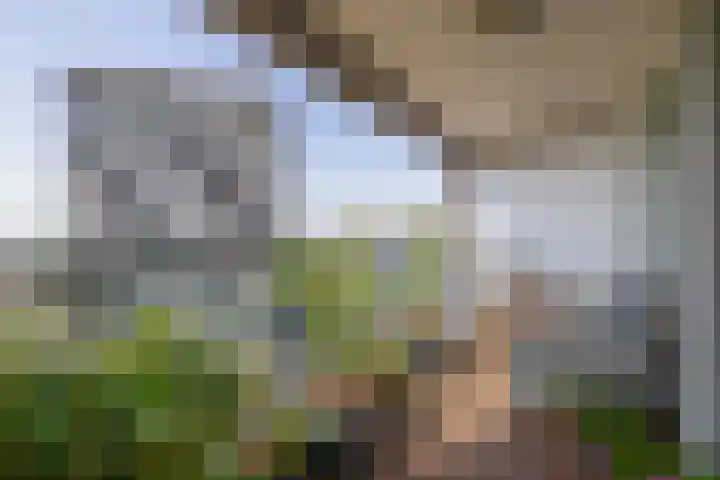 Hongerlandsedijk 726 Spijkenisse thumbnail 4
