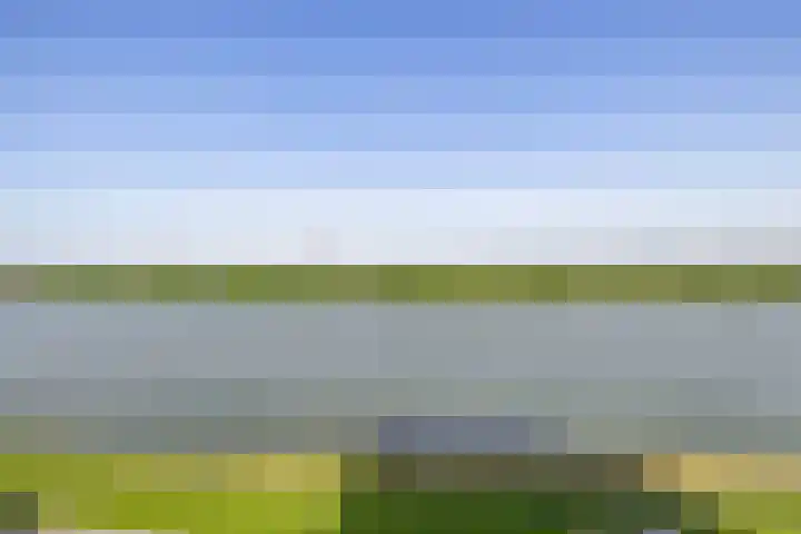 Hongerlandsedijk 726 Spijkenisse thumbnail 46