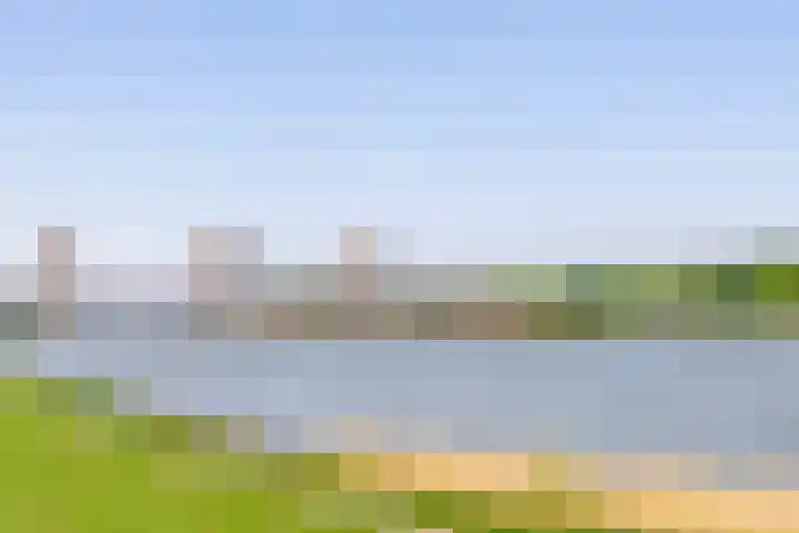 Hongerlandsedijk 726 Spijkenisse thumbnail 47