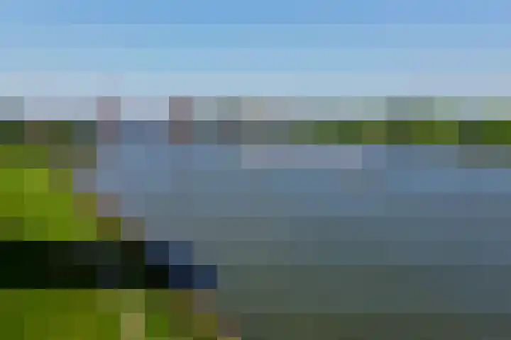 Hongerlandsedijk 726 Spijkenisse thumbnail 48
