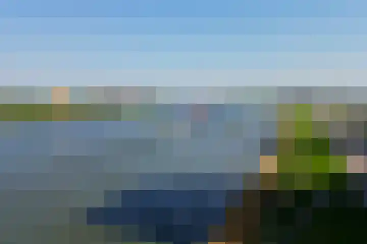 Hongerlandsedijk 726 Spijkenisse thumbnail 49