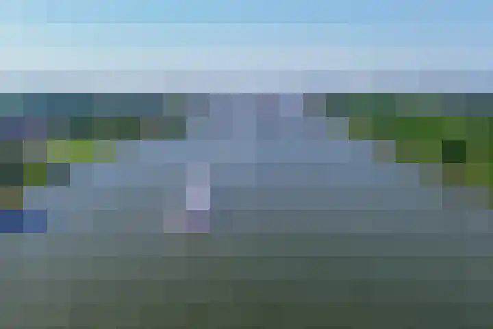 Hongerlandsedijk 726 Spijkenisse thumbnail 5