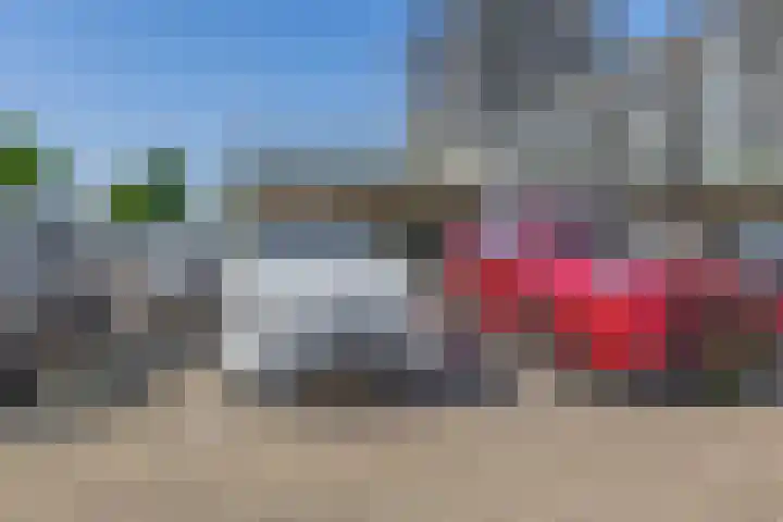 Hongerlandsedijk 726 Spijkenisse thumbnail 50