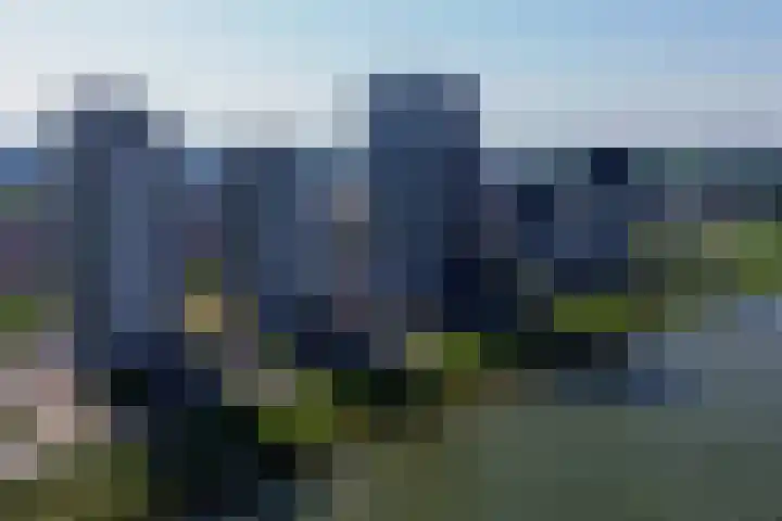 Hongerlandsedijk 726 Spijkenisse thumbnail 6