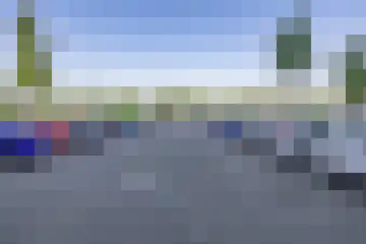 Hongerlandsedijk 726 Spijkenisse thumbnail 9
