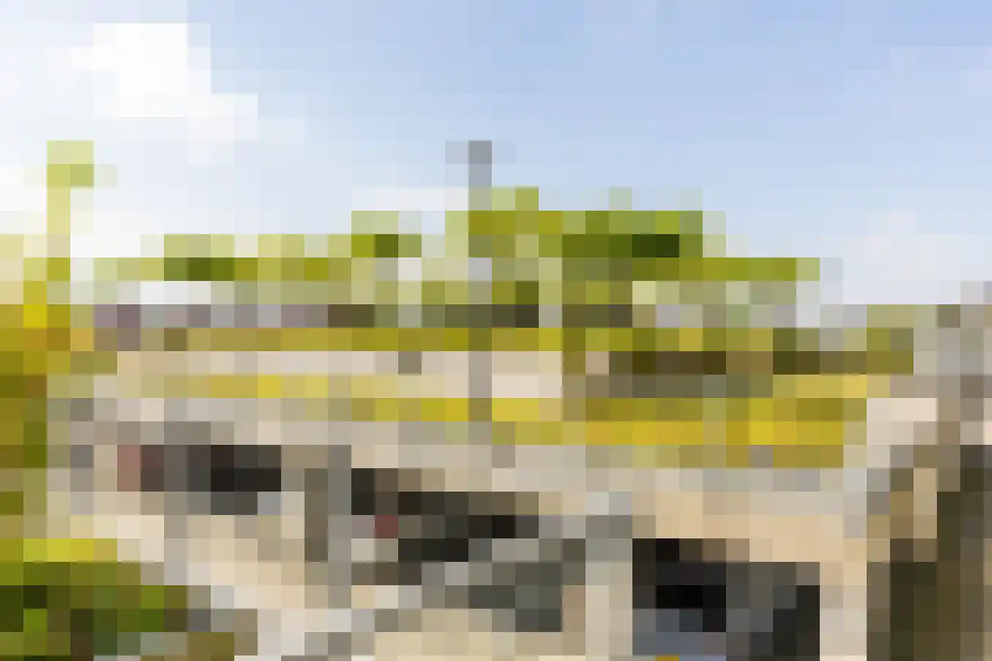 Hongerlandsedijk 734 Spijkenisse thumbnail 32