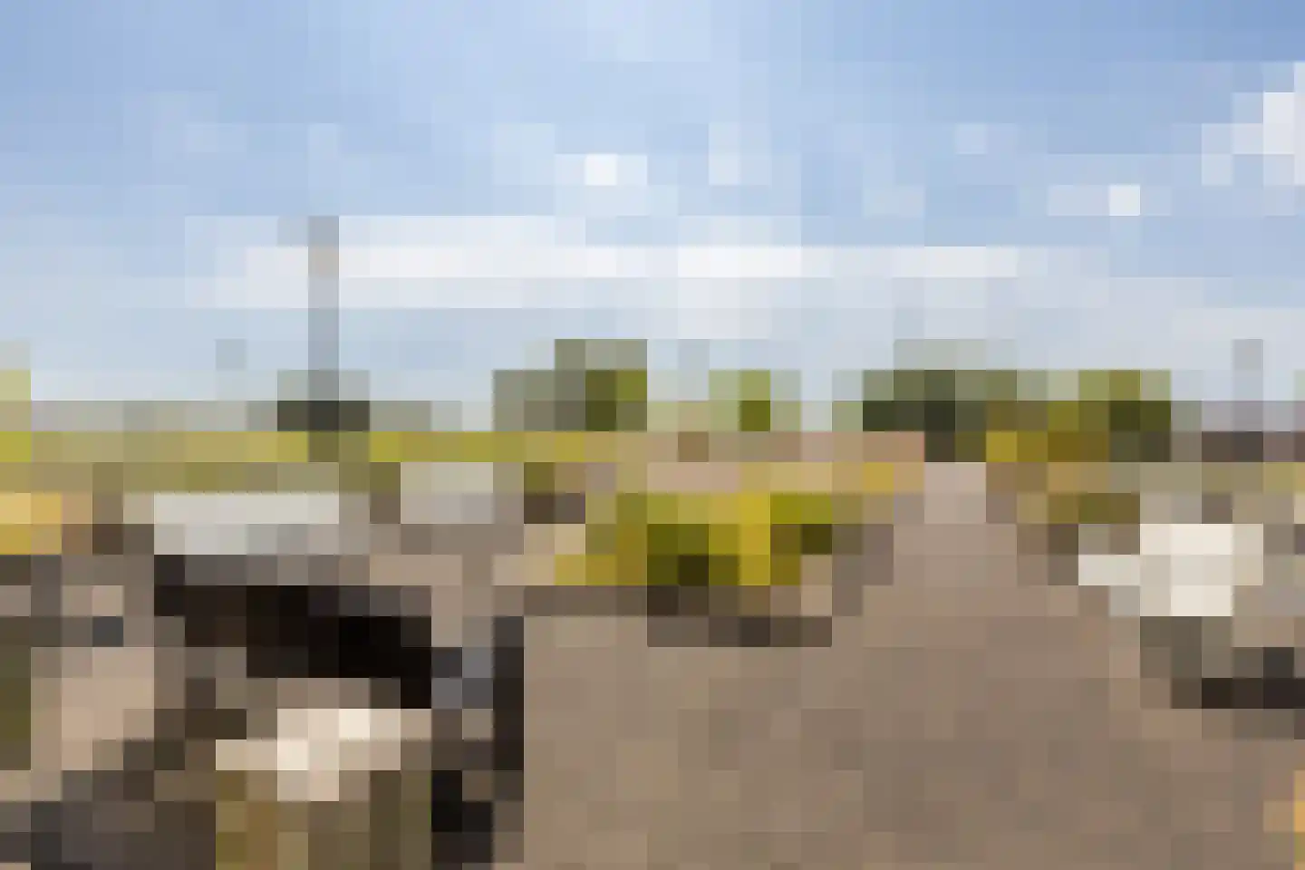 Hongerlandsedijk 734 Spijkenisse thumbnail 35