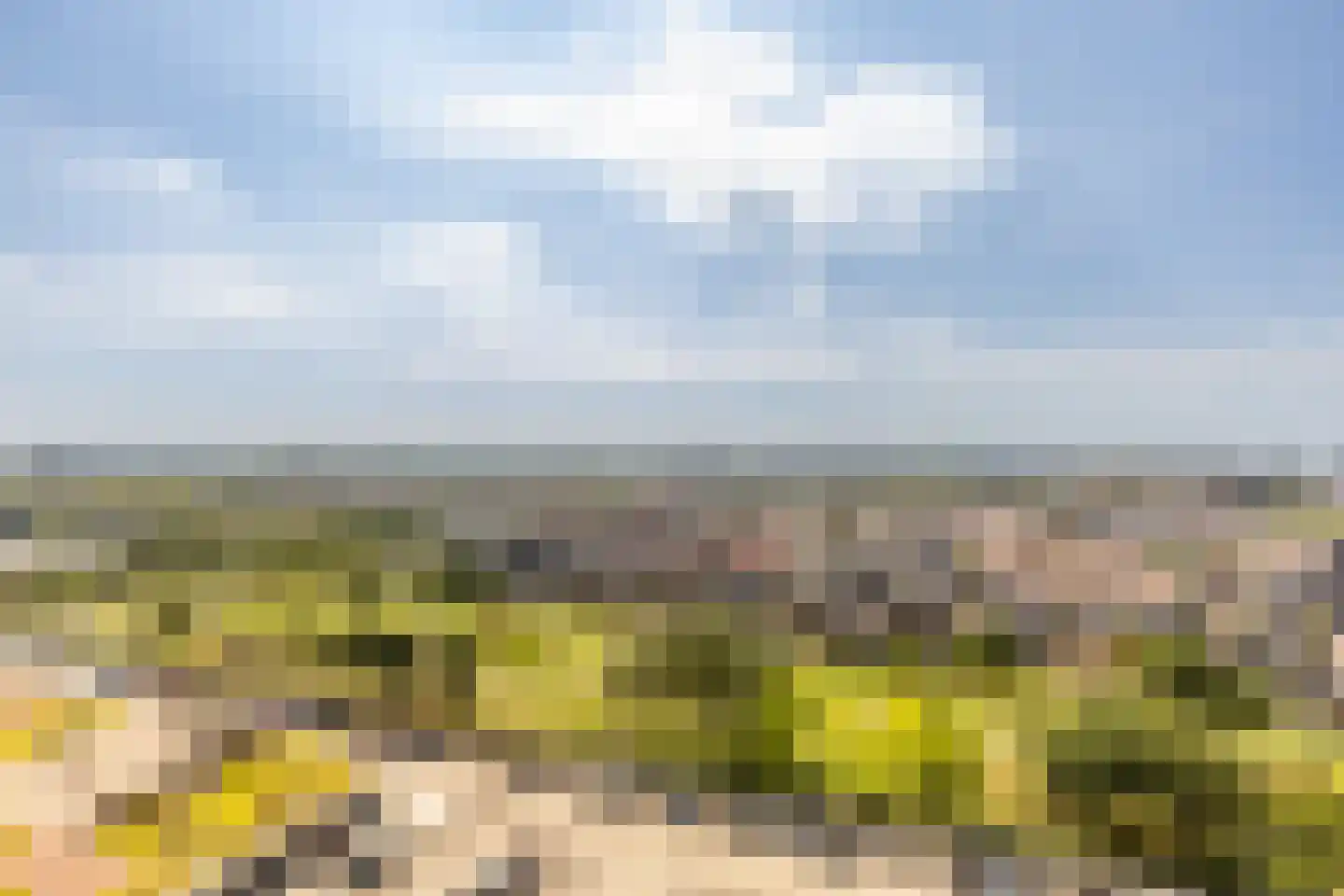 Hongerlandsedijk 734 Spijkenisse thumbnail 36