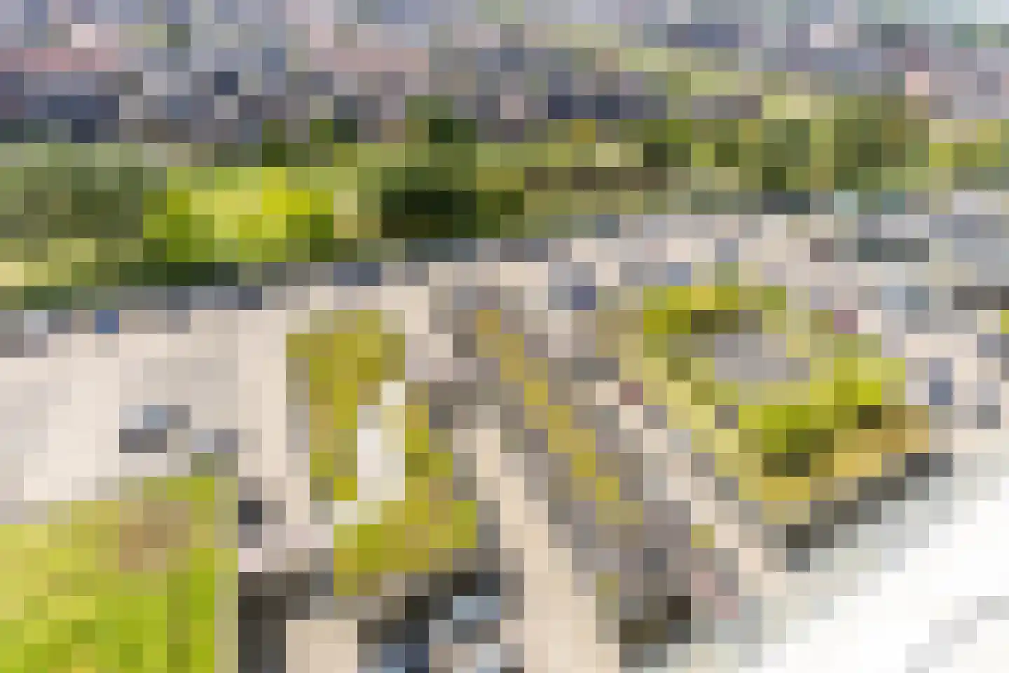 Hongerlandsedijk 734 Spijkenisse thumbnail 37