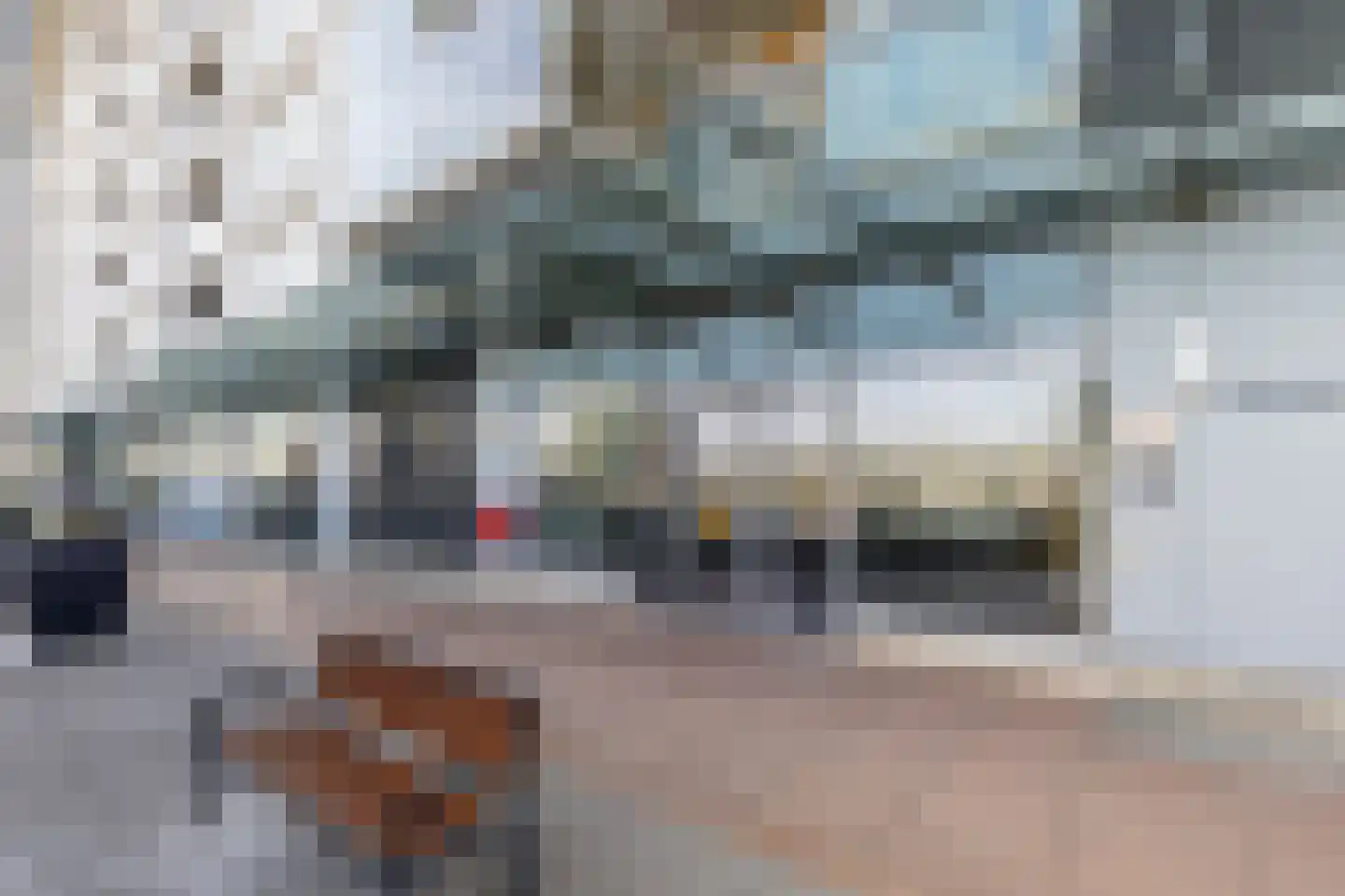 Hongerlandsedijk 734 Spijkenisse thumbnail 8