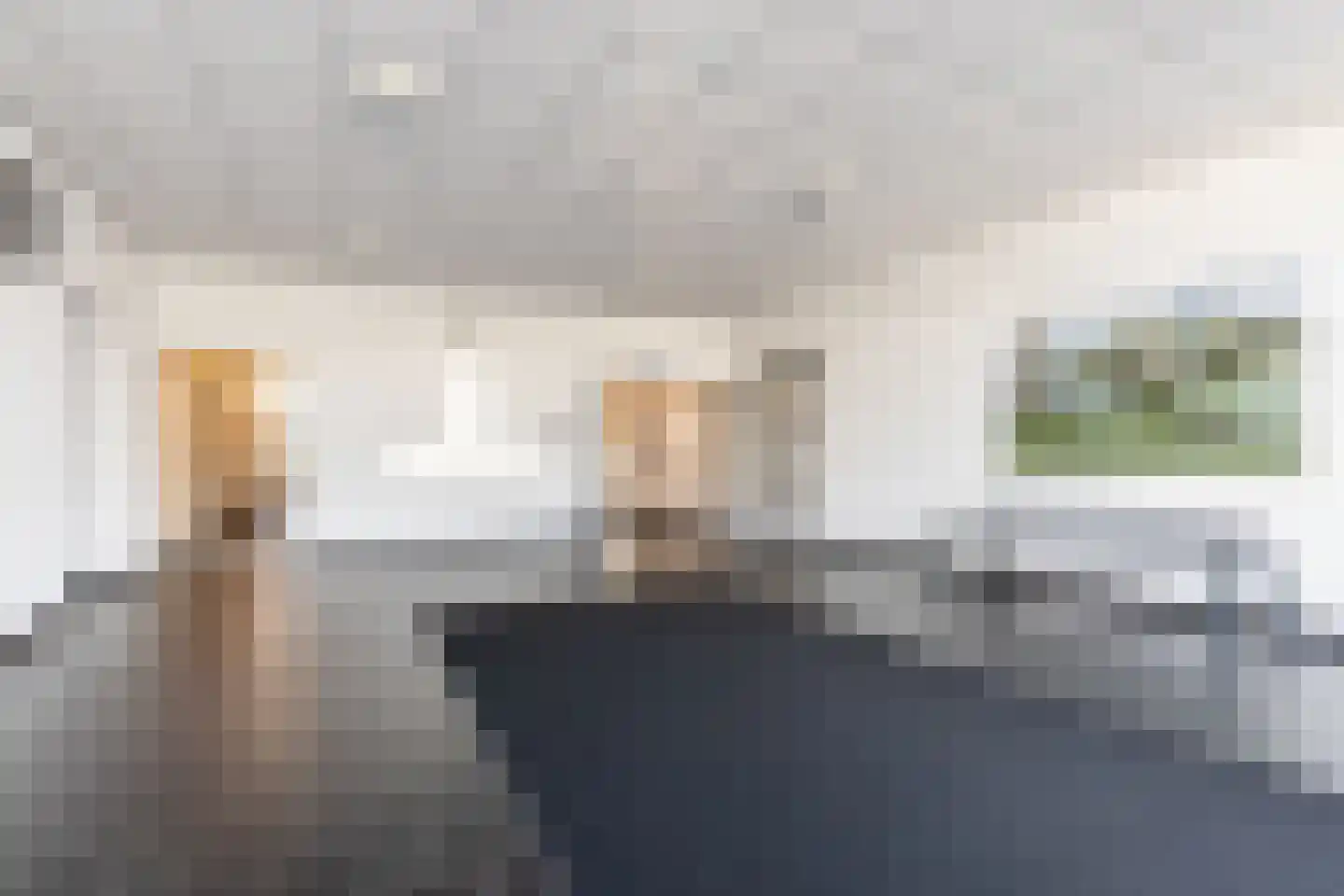 Hongerlandsedijk 734 Spijkenisse thumbnail 9