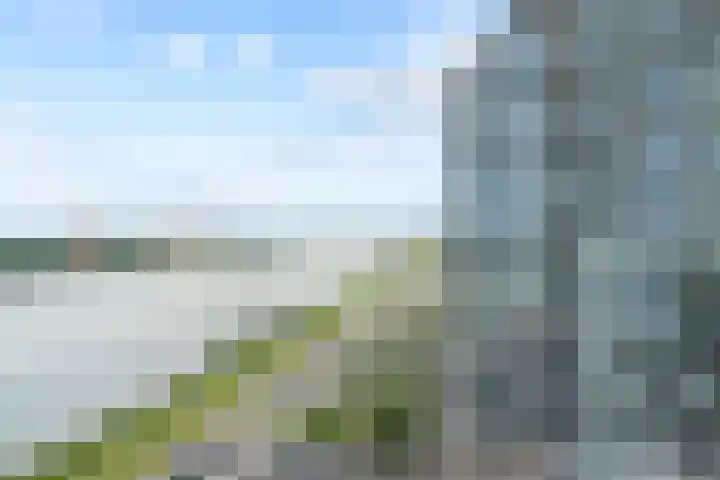Hongerlandsedijk 754 Spijkenisse thumbnail 14