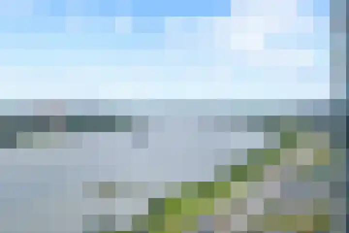 Hongerlandsedijk 754 Spijkenisse thumbnail 29