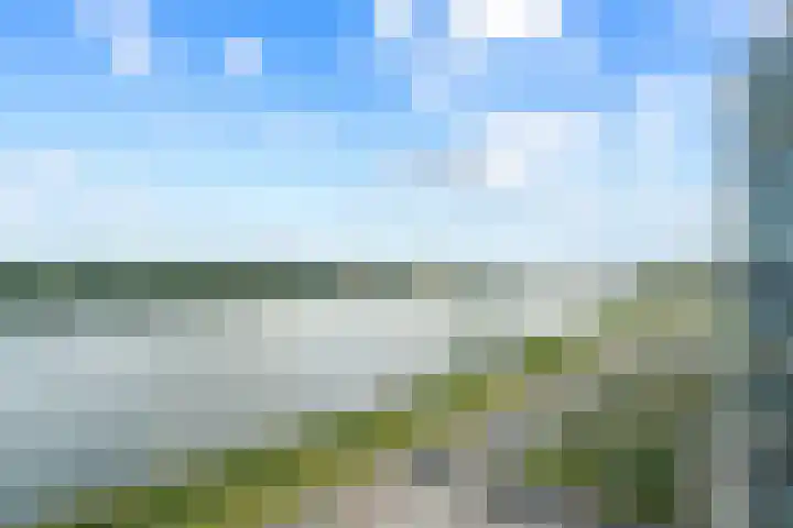 Hongerlandsedijk 754 Spijkenisse thumbnail 31