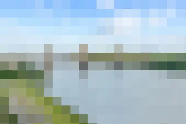 Hongerlandsedijk 754 Spijkenisse thumbnail 32