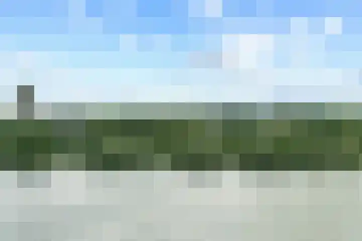 Hongerlandsedijk 754 Spijkenisse thumbnail 33